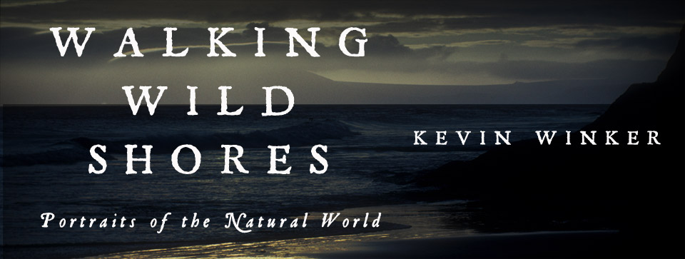 Walking Wild Shores